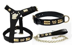 one place ציוד לכלבים STAFFORDSHIRE BULL TERRIER DOG HARNESS* COLLAR & CHAIN LEAD COMBO SET BRASS FIT